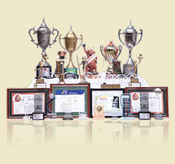  -CREATIVE-  Dilsukhnagar | Web design, Graphic design, UX, Visual effects, 3D Animation