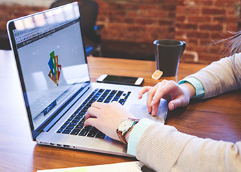 Graphic Web Development Programs