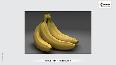 Best 3d animation college